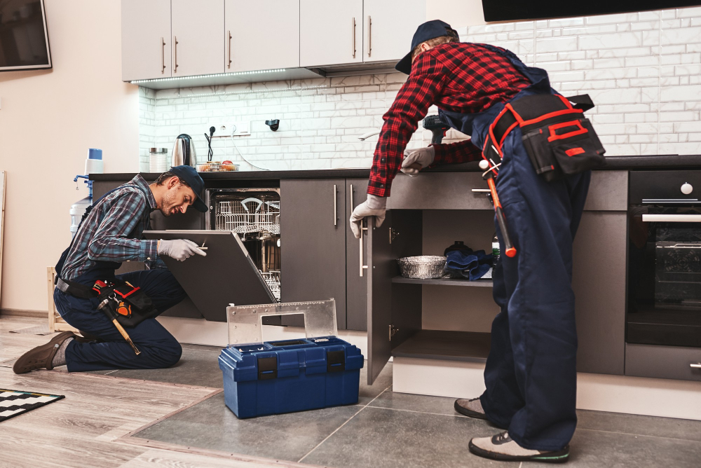 Domestic Maintenance and repair