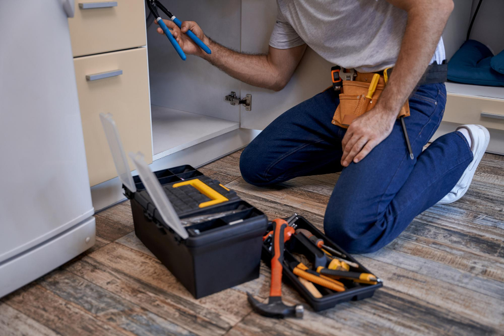 Domestic Maintenance